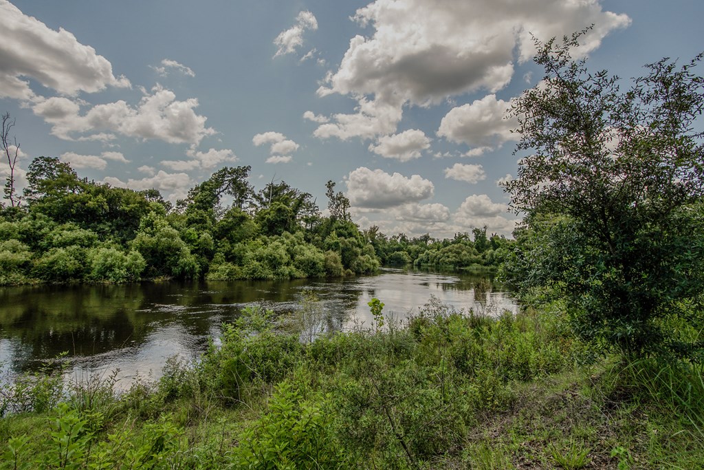 12730 Sw Cr 275, 32424