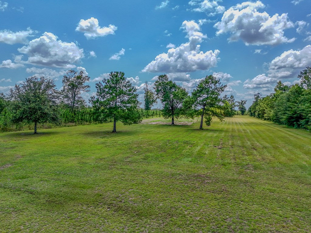 12730 Sw Cr 275, 32424