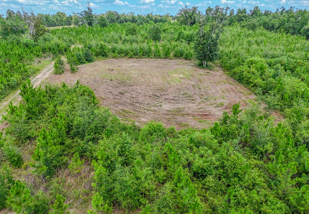 12730 Sw Cr 275, 32424