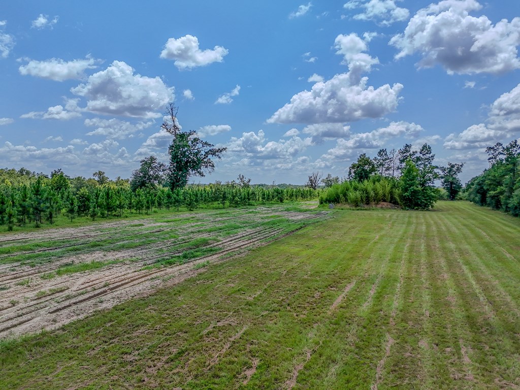 12730 Sw Cr 275, 32424
