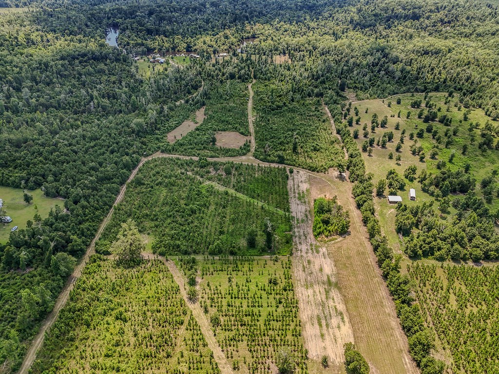 12730 Sw Cr 275, 32424