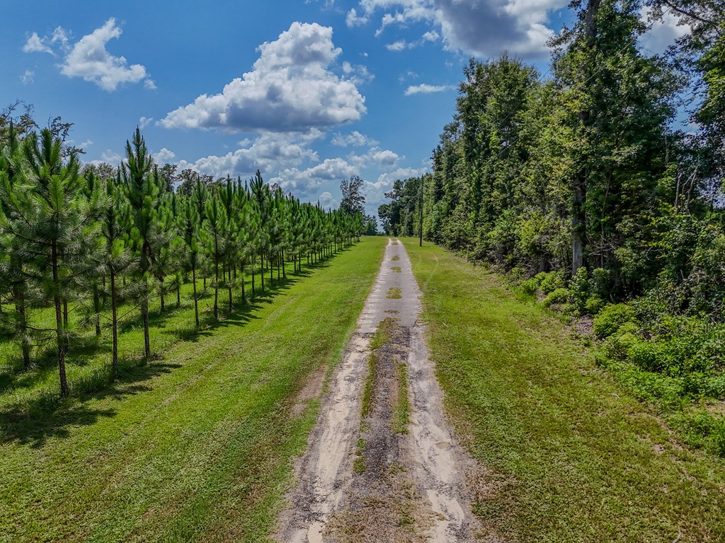 12730 Sw Cr 275, 32424