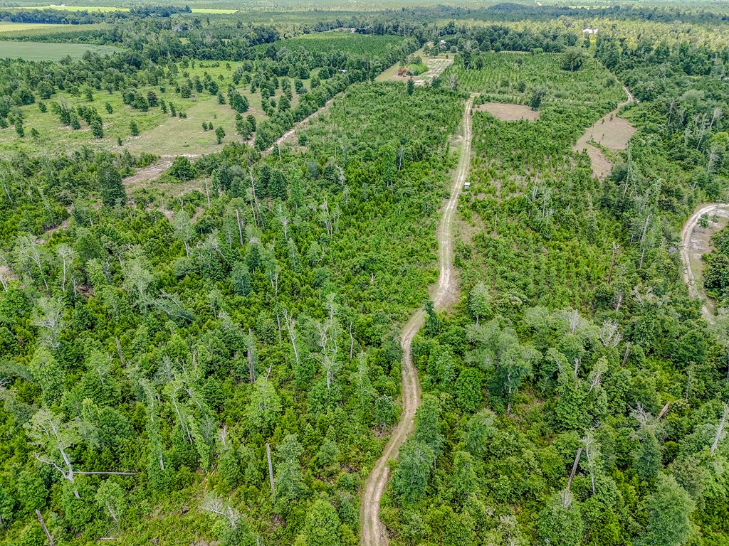 12730 Sw Cr 275, 32424