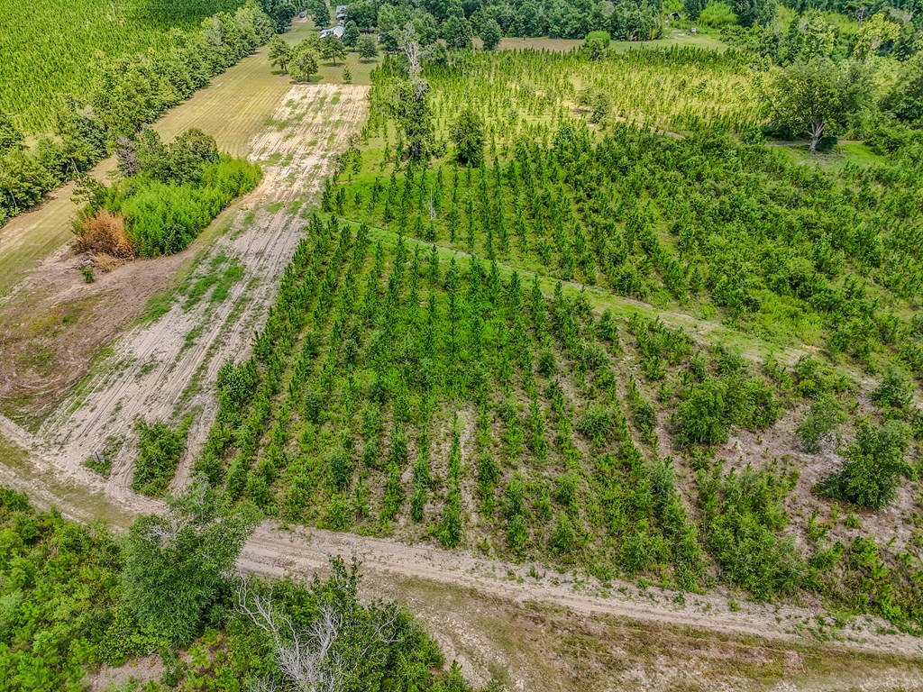 12730 Sw Cr 275, 32424