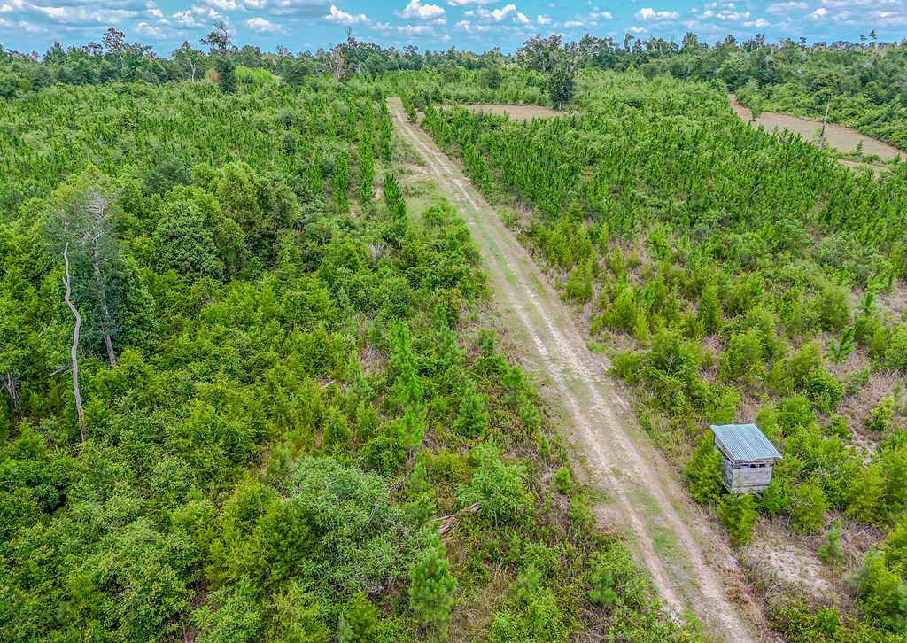 12730 Sw Cr 275, 32424
