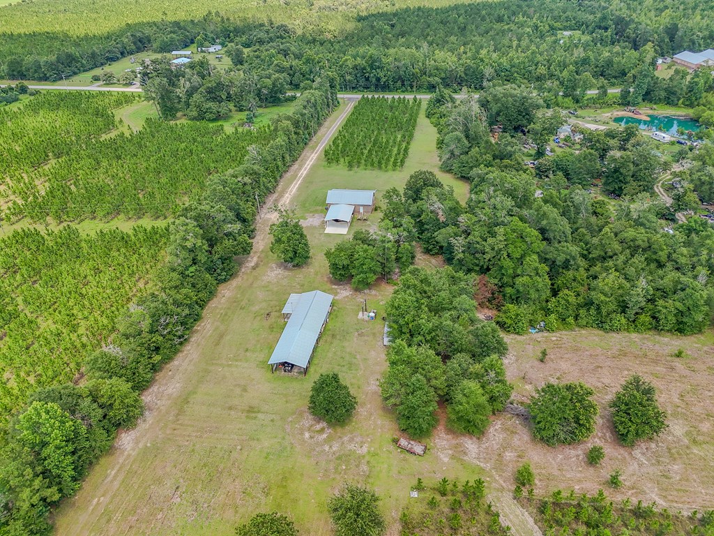 12730 Sw Cr 275, 32424