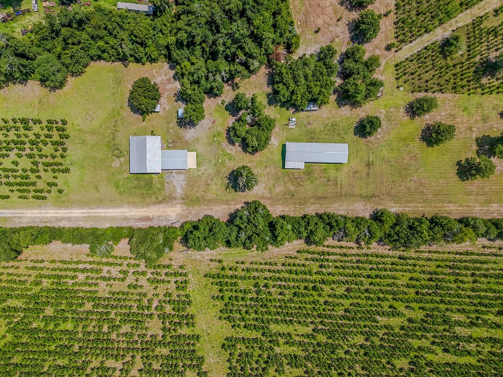 12730 Sw Cr 275, 32424