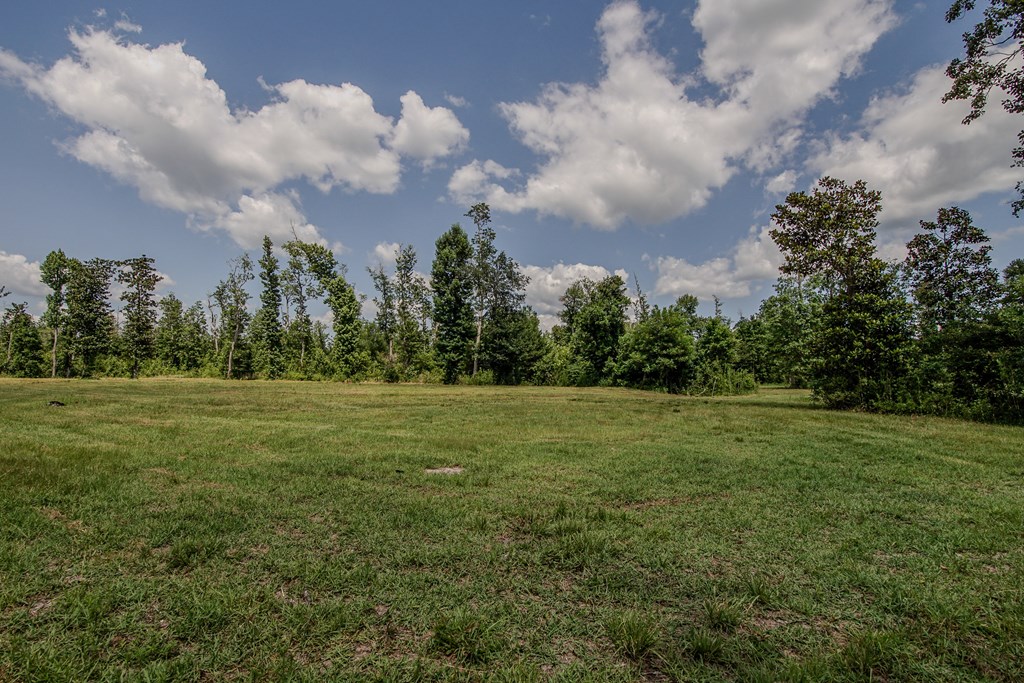 12730 Sw Cr 275, 32424