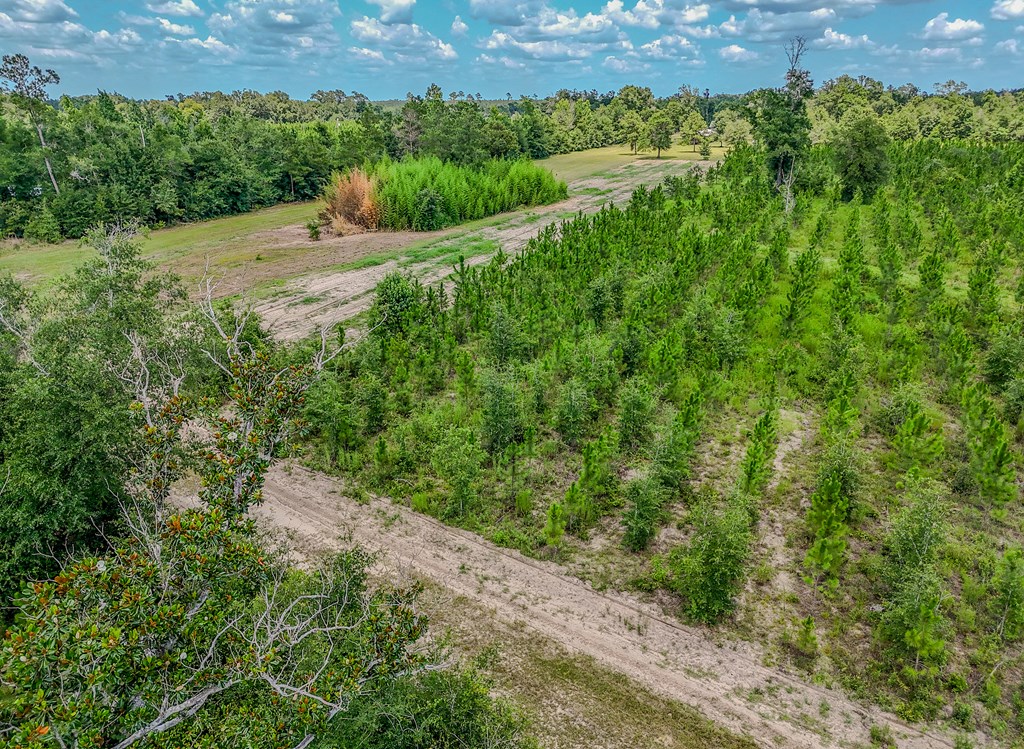 12730 Sw Cr 275, 32424
