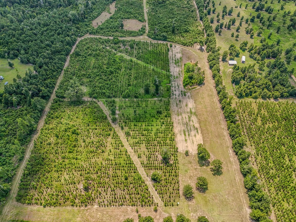 12730 Sw Cr 275, 32424