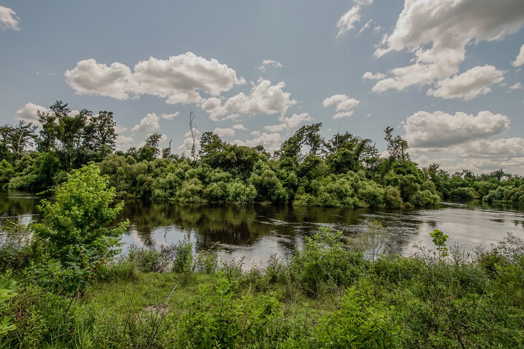 12730 Sw Cr 275, 32424