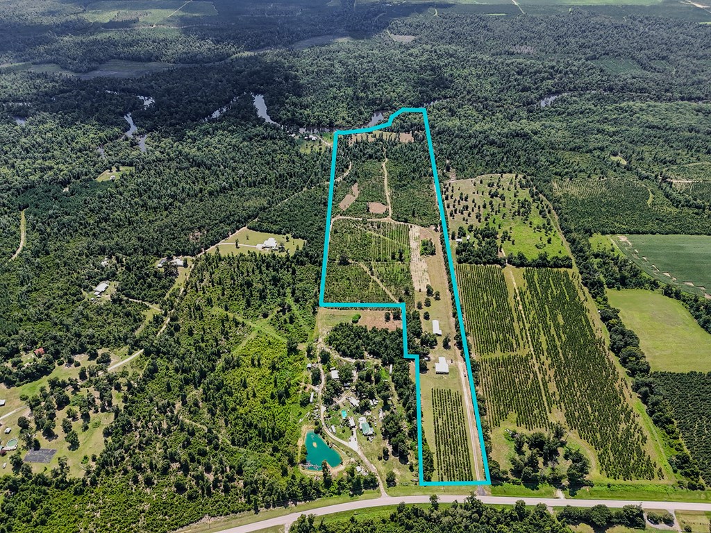 12730 Sw Cr 275, 32424