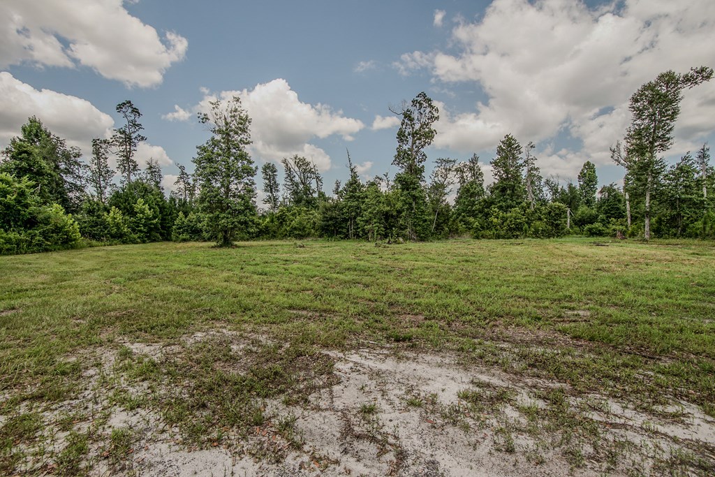 12730 Sw Cr 275, 32424