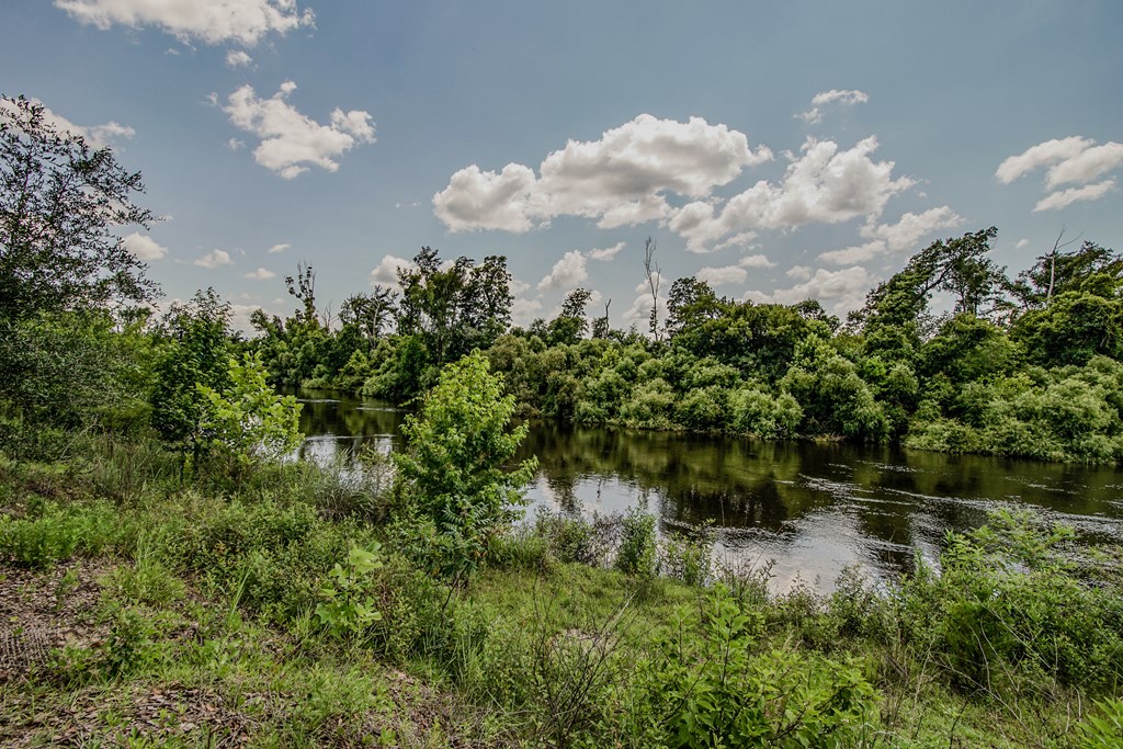 12730 Sw Cr 275, 32424