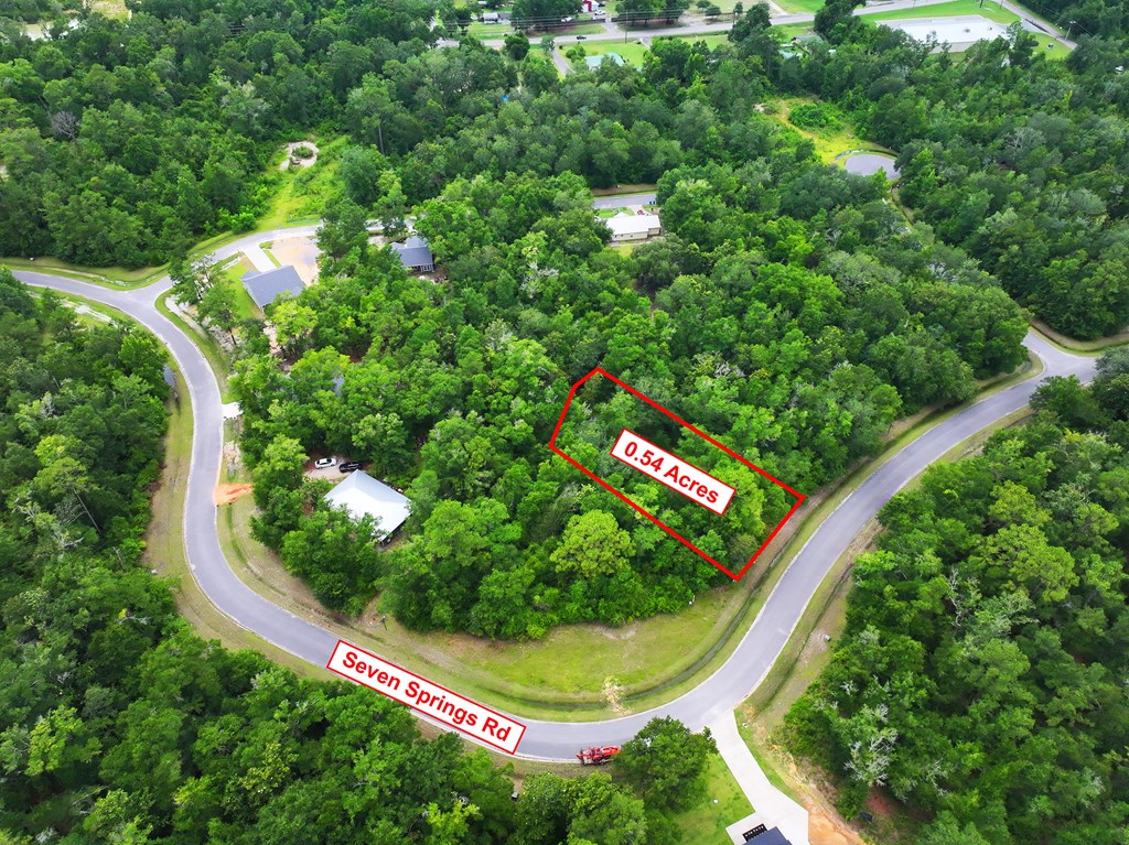 229 Seven Springs Dr, 32465