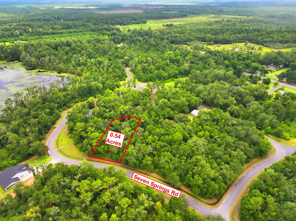 229 Seven Springs Dr, 32465