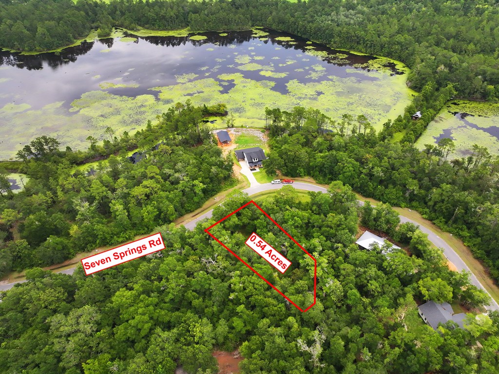 229 Seven Springs Dr, 32465