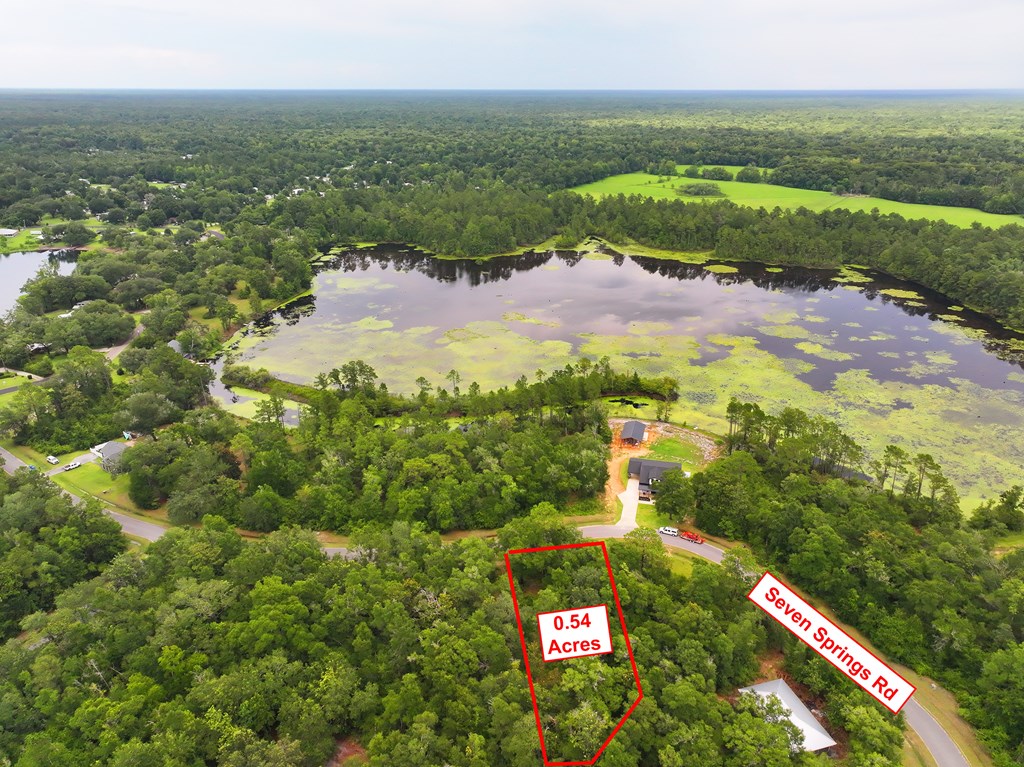 229 Seven Springs Dr, 32465