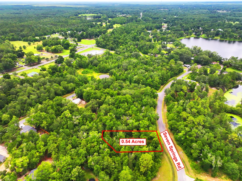229 Seven Springs Dr, 32465