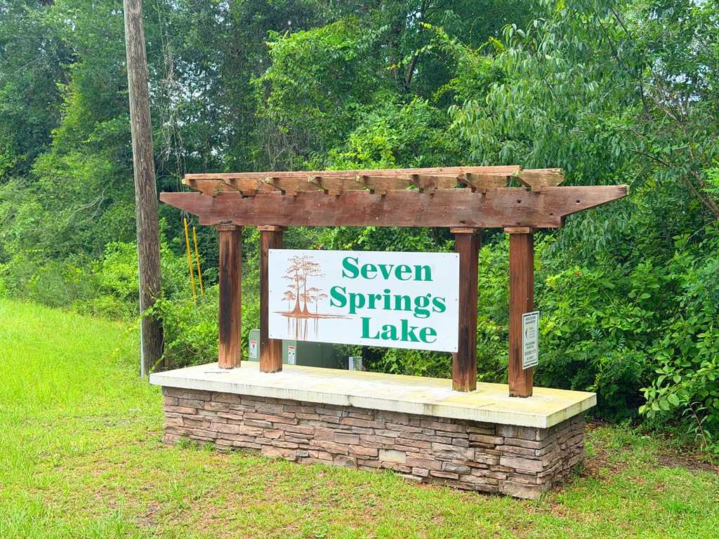 229 Seven Springs Dr, 32465