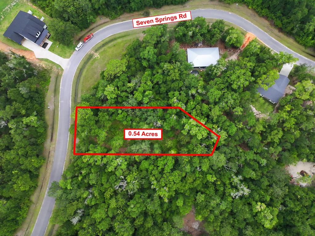 229 Seven Springs Dr, 32465