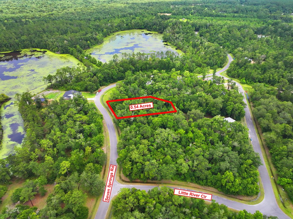 229 Seven Springs Dr, 32465