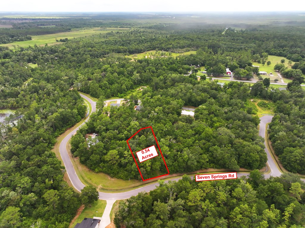 229 Seven Springs Dr, 32465