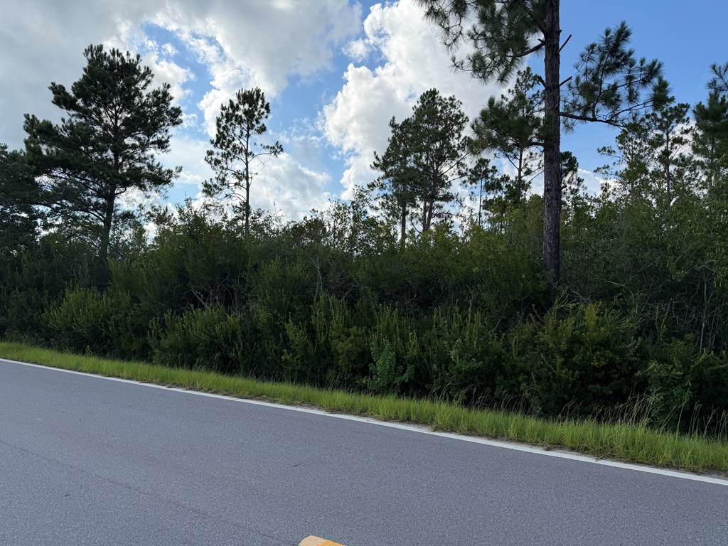 Lot 5 Borders Rd, 32465