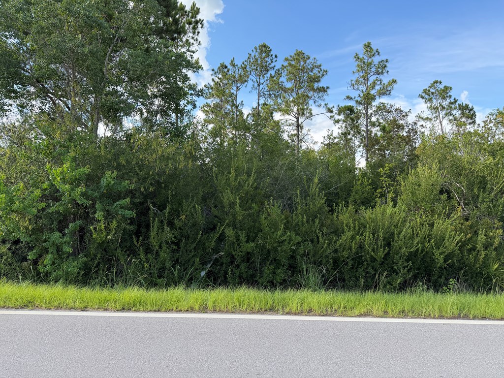Lot 5 Borders Rd, 32465
