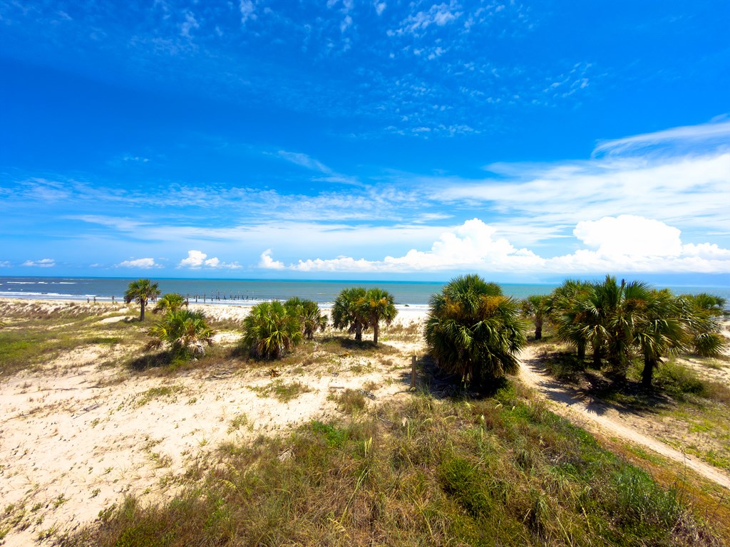 1180 Indian Pass Rd, Port St. Joe 32456