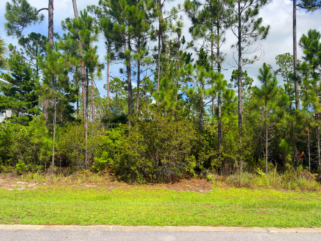 106 Sea Turtle Dr, Port St. Joe 32456