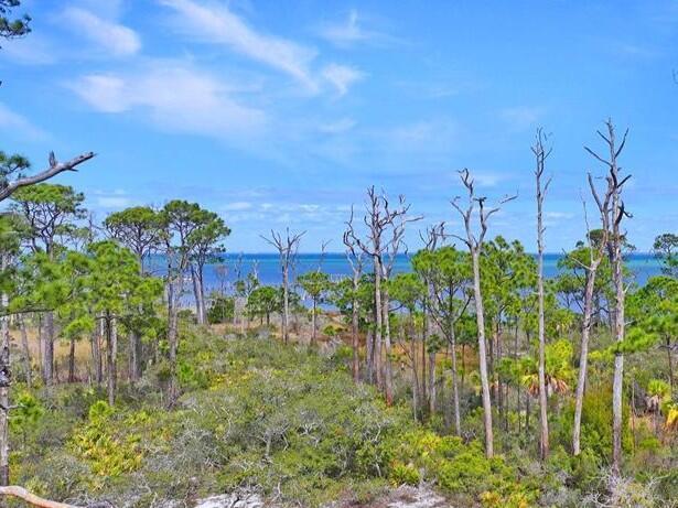 6214 Cape San Blas Rd