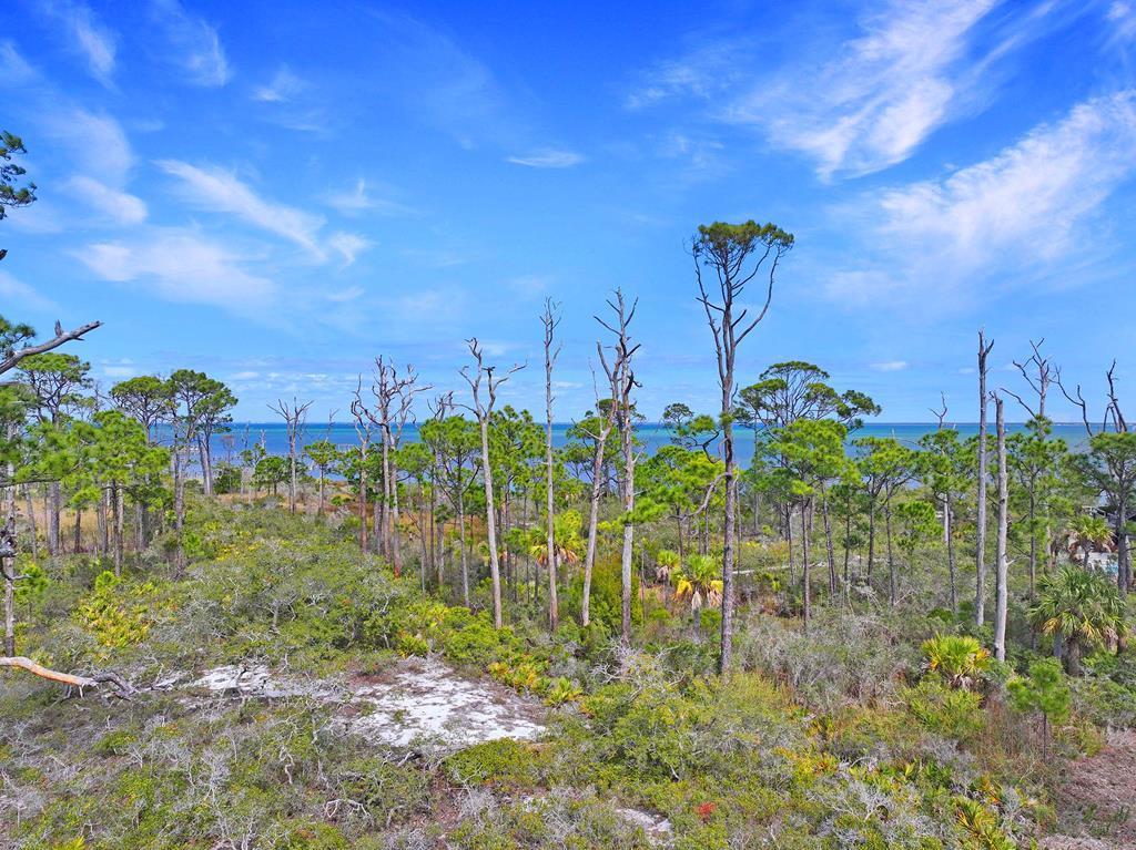 6214 Cape San Blas Rd