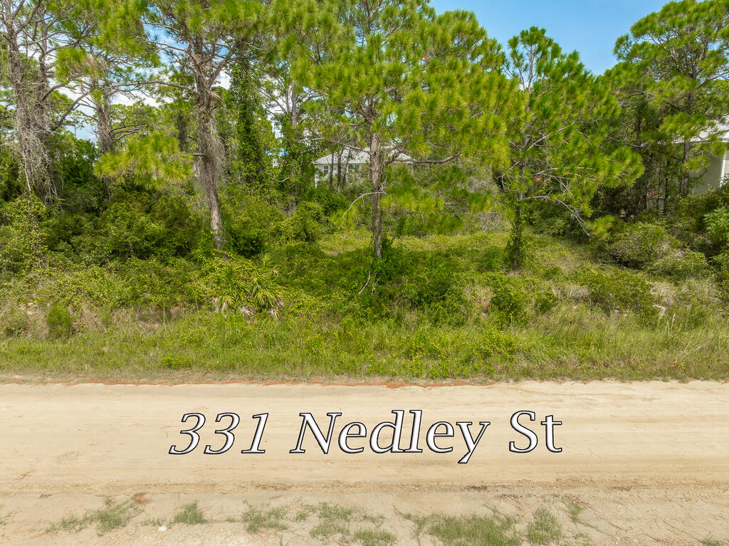 331 Nedley St, St. George Island 32328