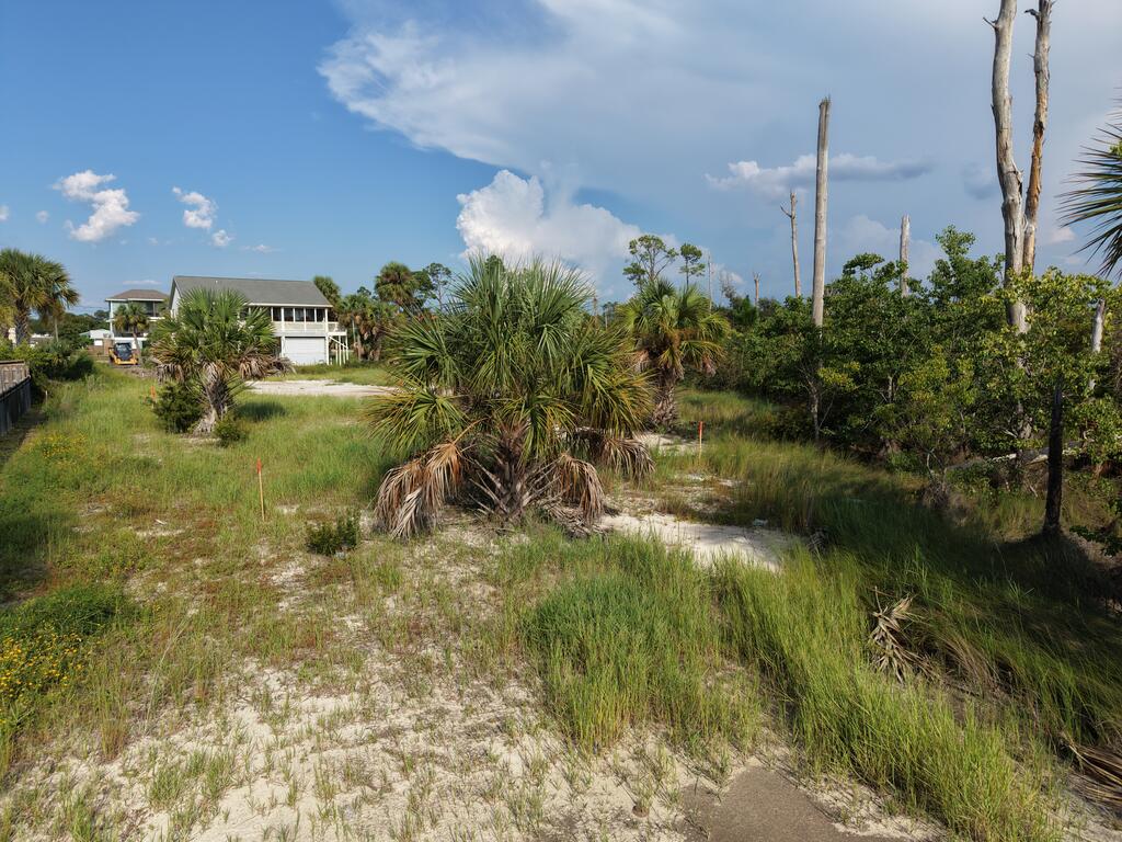 6267 Americus Ave, Port St. Joe 32456
