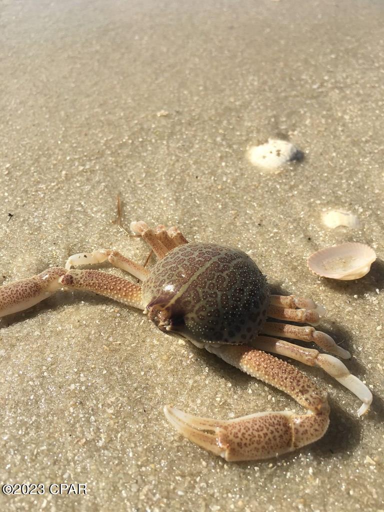 B Cape San Blas Road