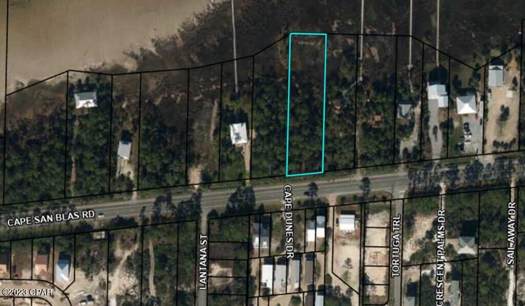 B Cape San Blas Road