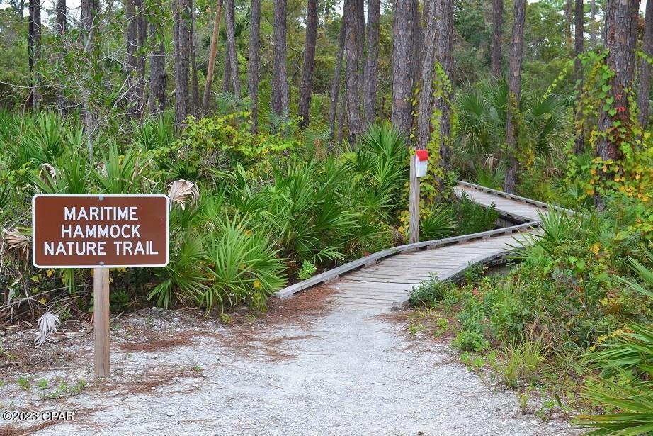 B Cape San Blas Road