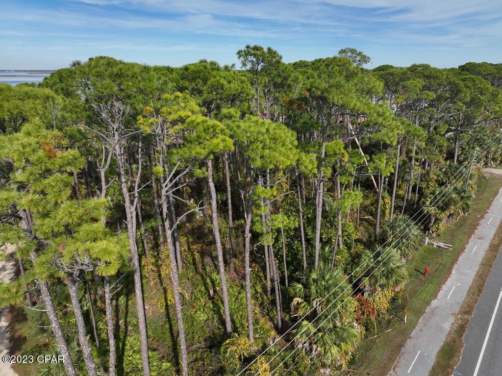 B Cape San Blas Road