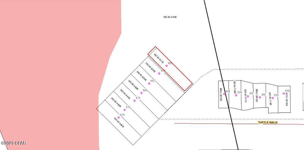 163 Turtle Walk Walk