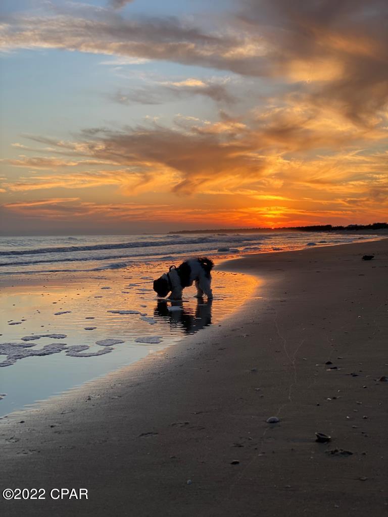 130A Santa Anna Street