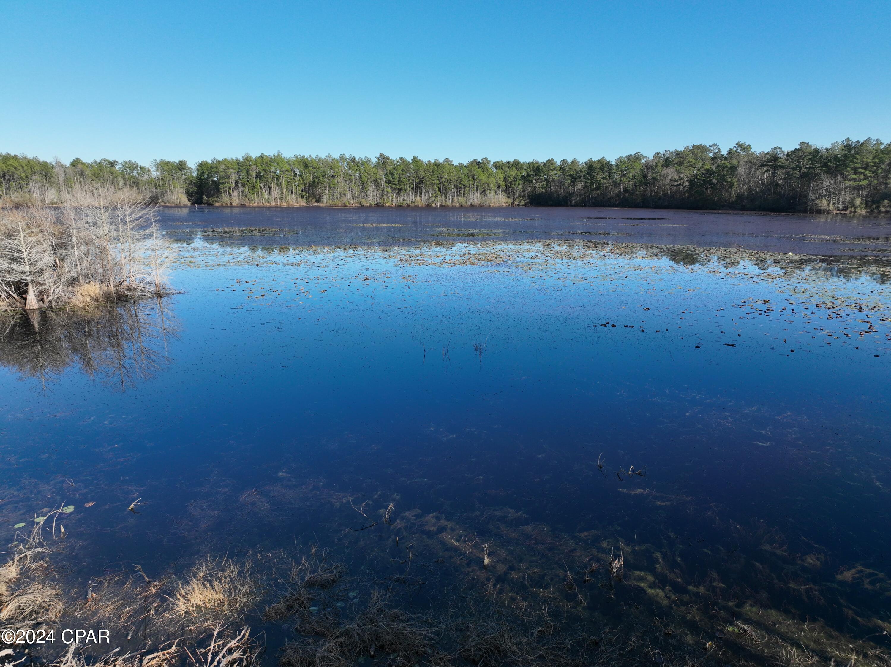 Lot 5 Seven Springs Drive