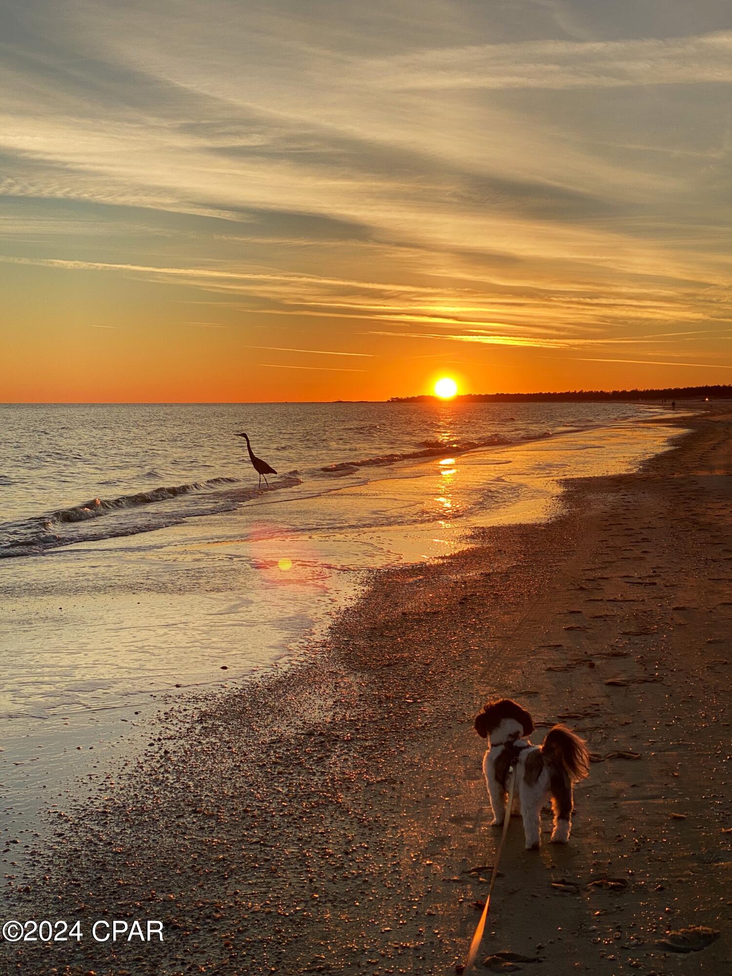 775 Cape San Blas Road