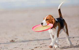 1401 Constitution Drive