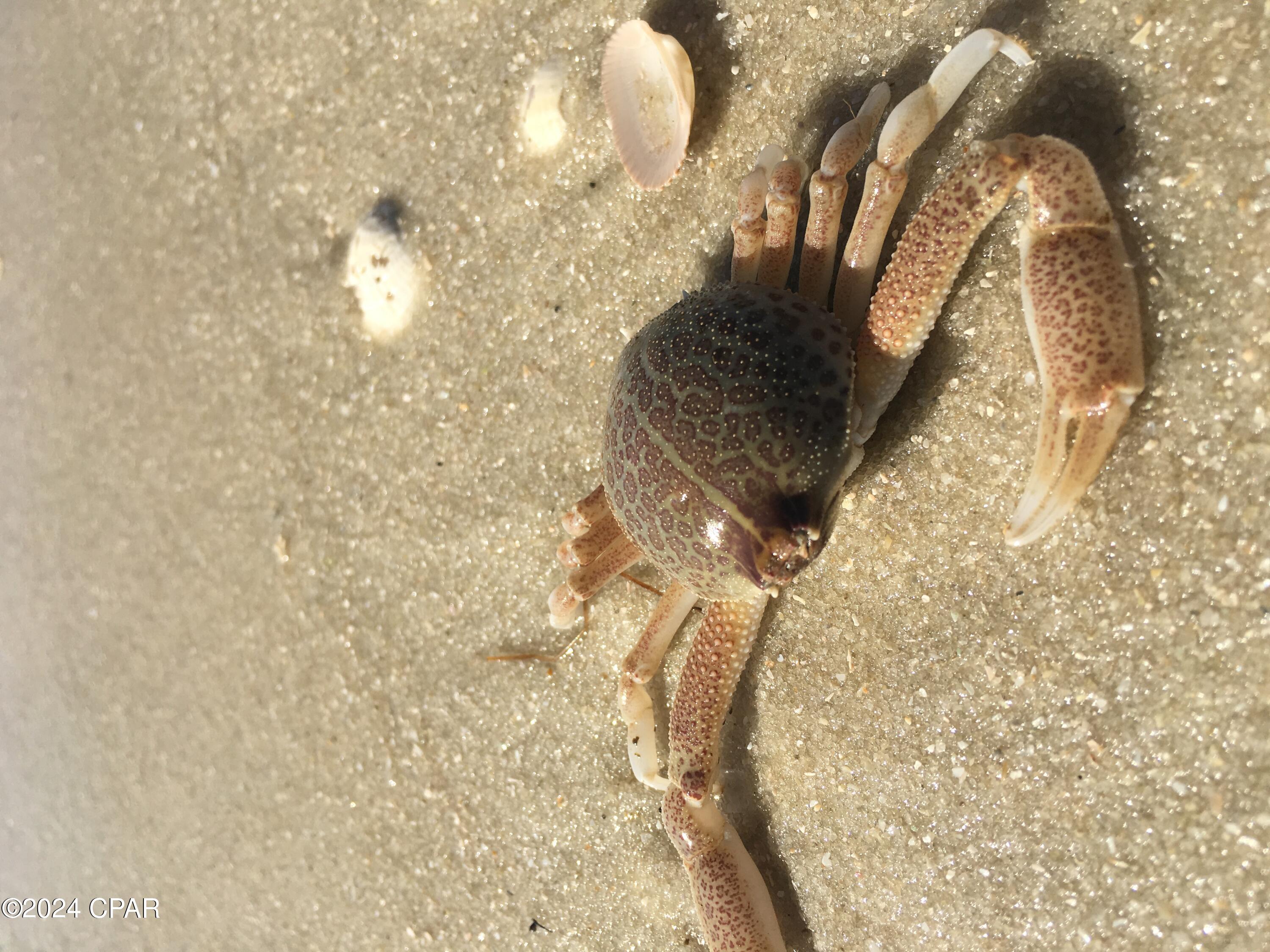 764 W Rutherford Street