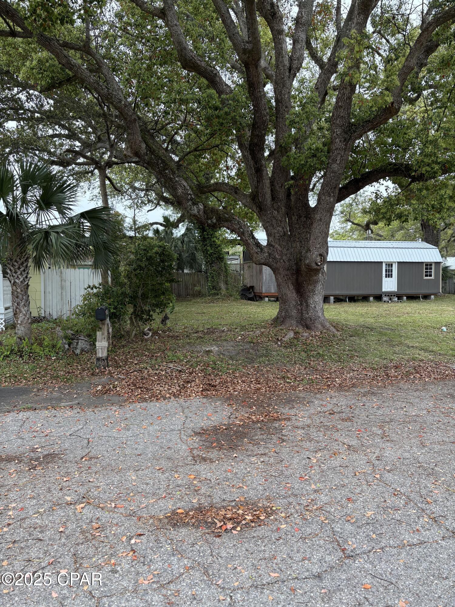 2434 Mckinnon Street