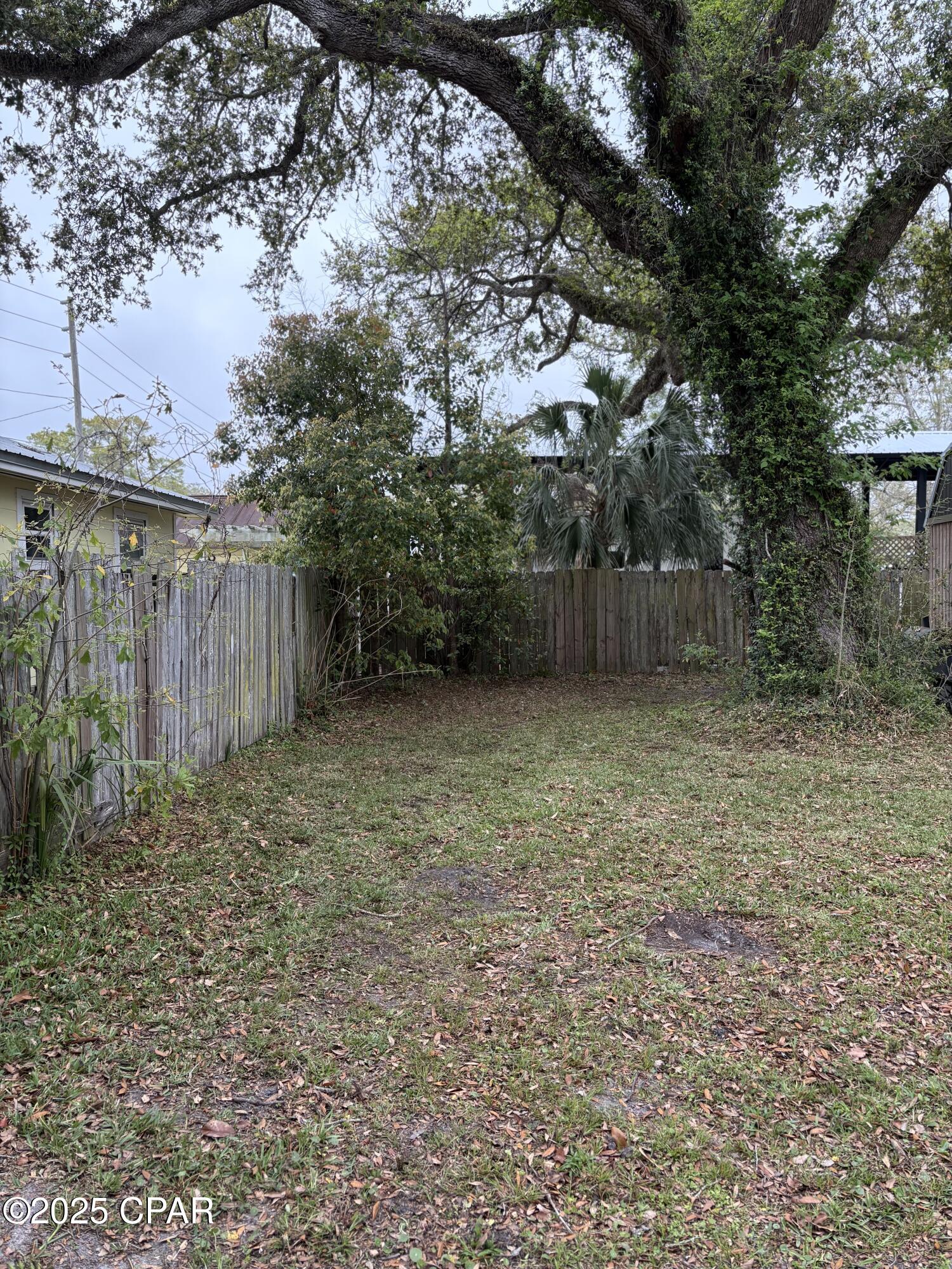 2434 Mckinnon Street