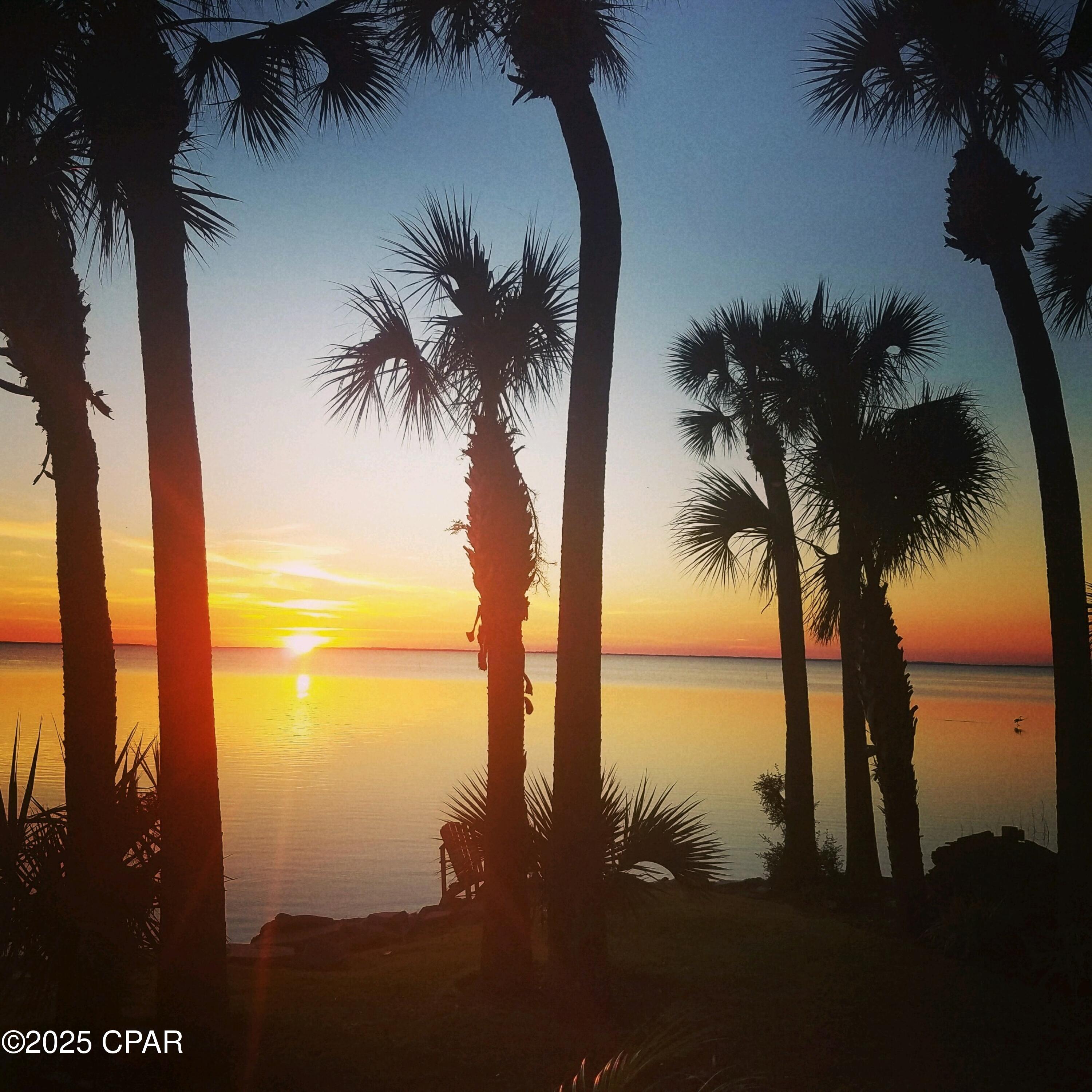 2434 Mckinnon Street