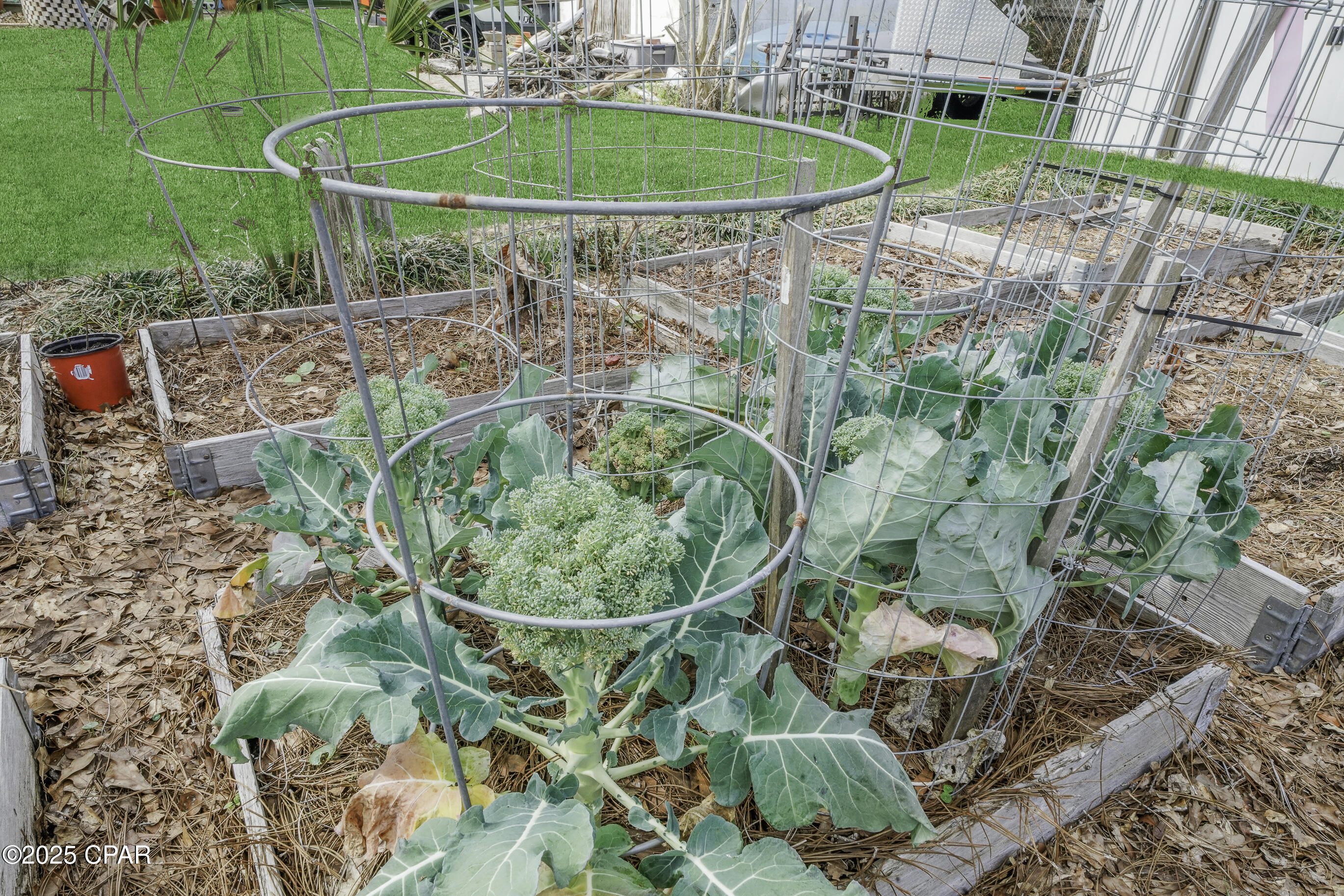 1007 Garrison Avenue