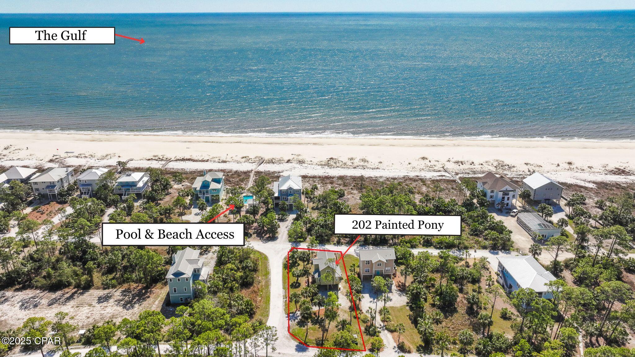 202 Painted Pony Road